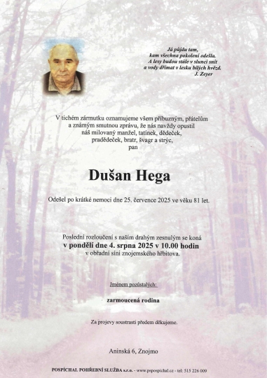 Dušan Hega