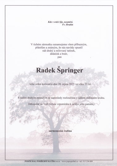 Radek Špringer