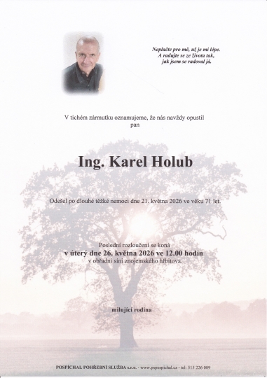 Ing. Karel Holub