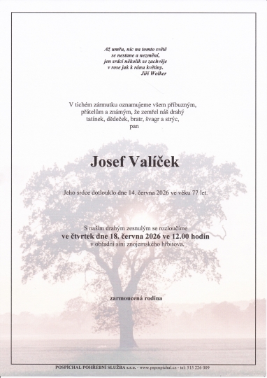 Josef Valíček